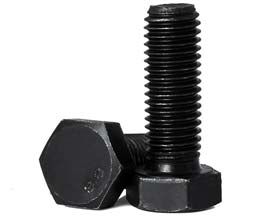 Black Hex Nut M10